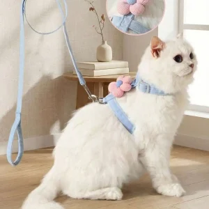 S0341fbccdfbb47eba26347576bdd7118N.webp