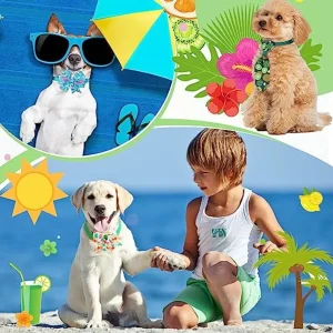 S09c30f7f1d754f268dbce83a825e5d62X-1.webp