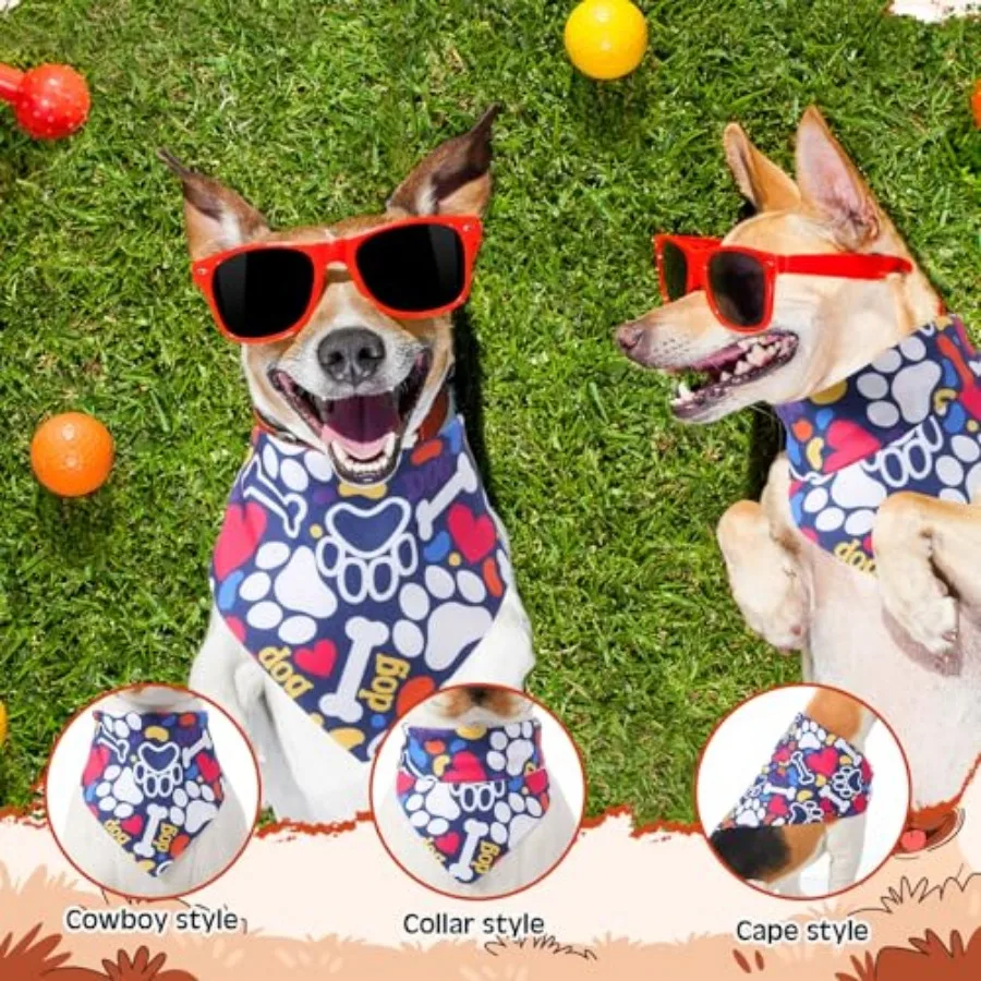 S844162572ddf4f21ada12d19a92c8d19X-1.webp