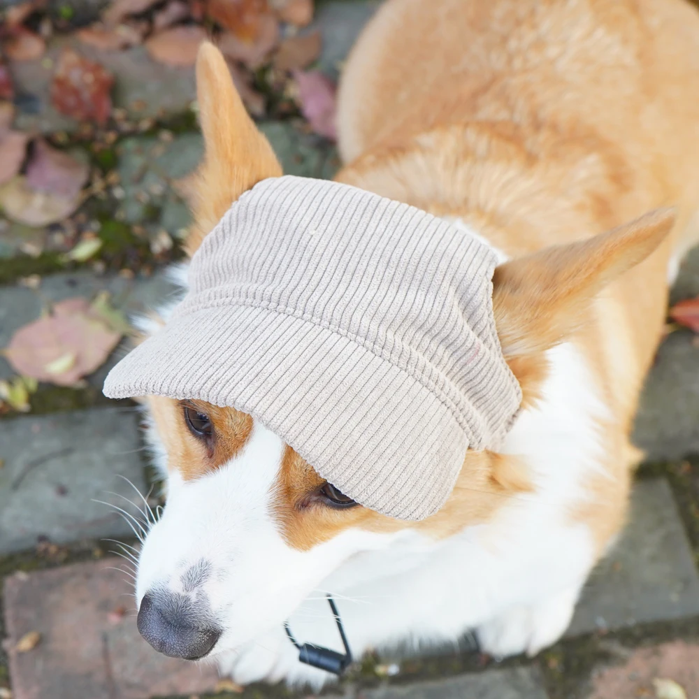 S09217476c8514ba2a76d2982609ab503w.webp