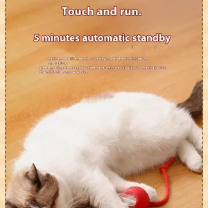 S16af7502b85f48849512d3d21a024556w-1.webp