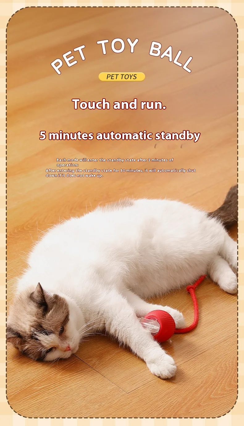 S16af7502b85f48849512d3d21a024556w-1.webp