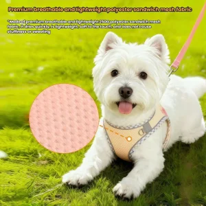 S16c29a69432e4ef6b40044458a262029u.webp