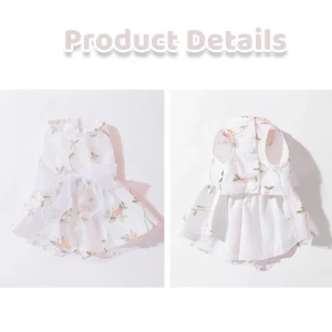 S22bf73077c2e43f6a0b5a9a2d6c11f9cR.webp