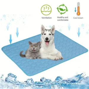 S400c4ab6a1ae4e02a4c99141e547d46aT.webp