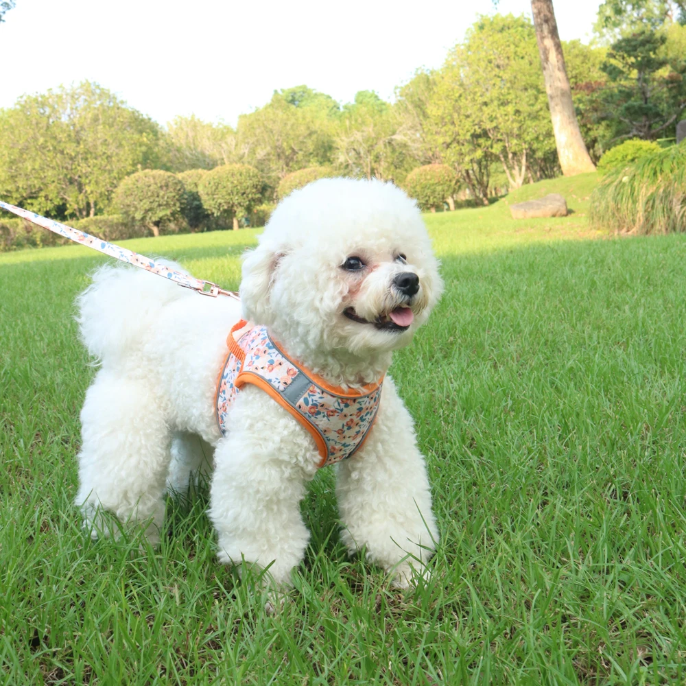 S9263a3bdf6f442d8b777a0942eaa1202w.webp