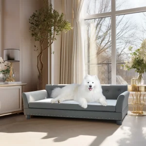 Elevated Dog Sofa Bed