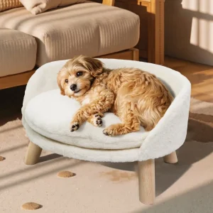 Elevated Pet Sofa Bed