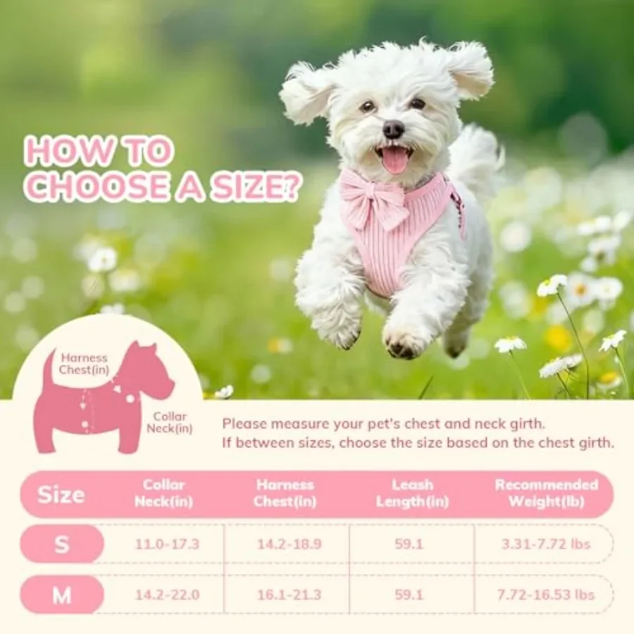 Sd668d1b1b54f42ac978c8815118ba6995.webp
