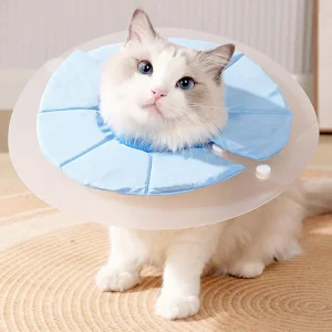 Soft Cat Recovery Collar