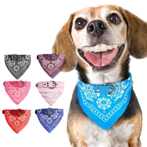 Adjustable Leather Pet Bandana