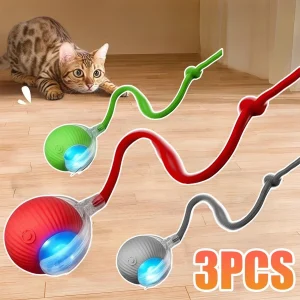 New Cat Interactive Ball