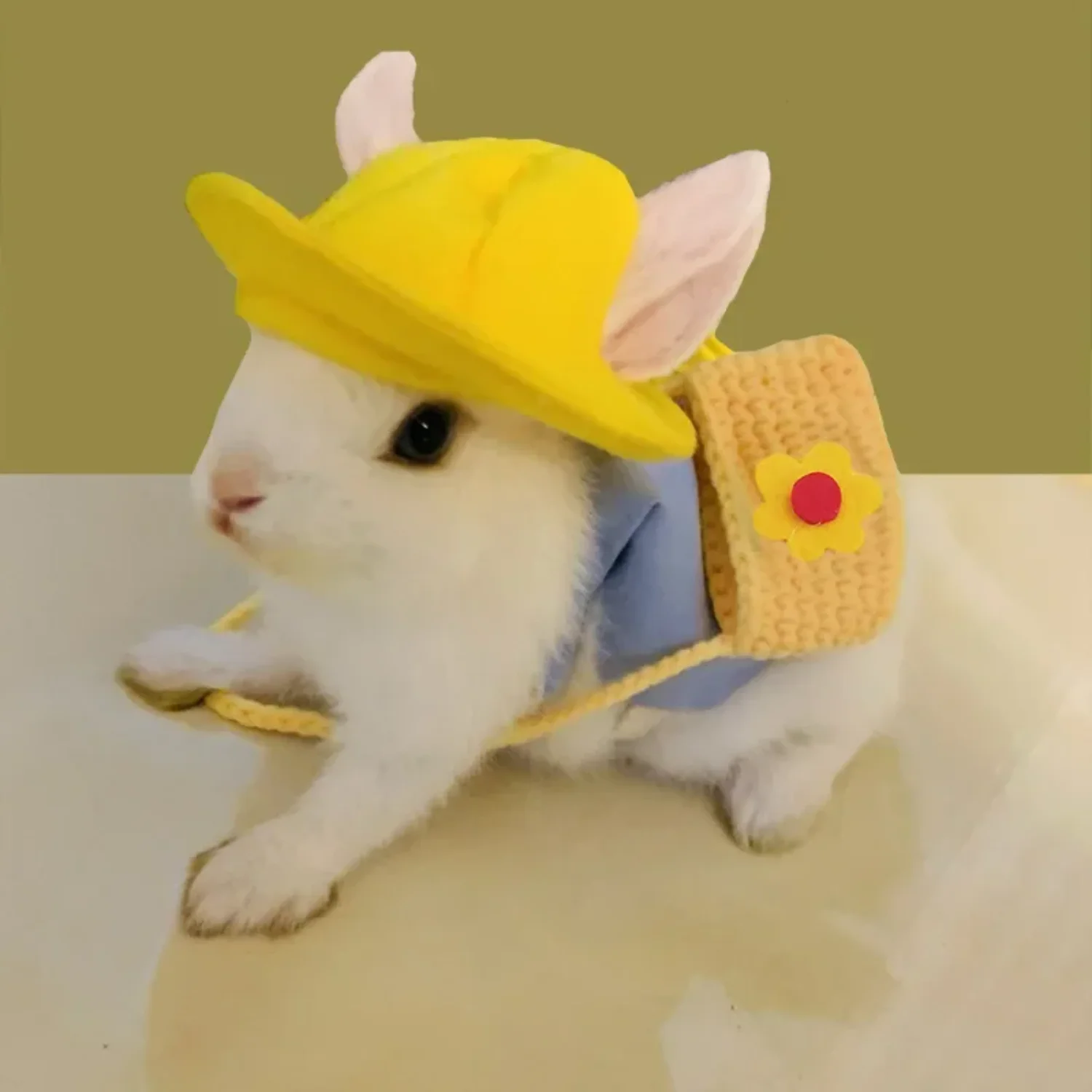 Cute Small Pet Harness Dress - Image 2