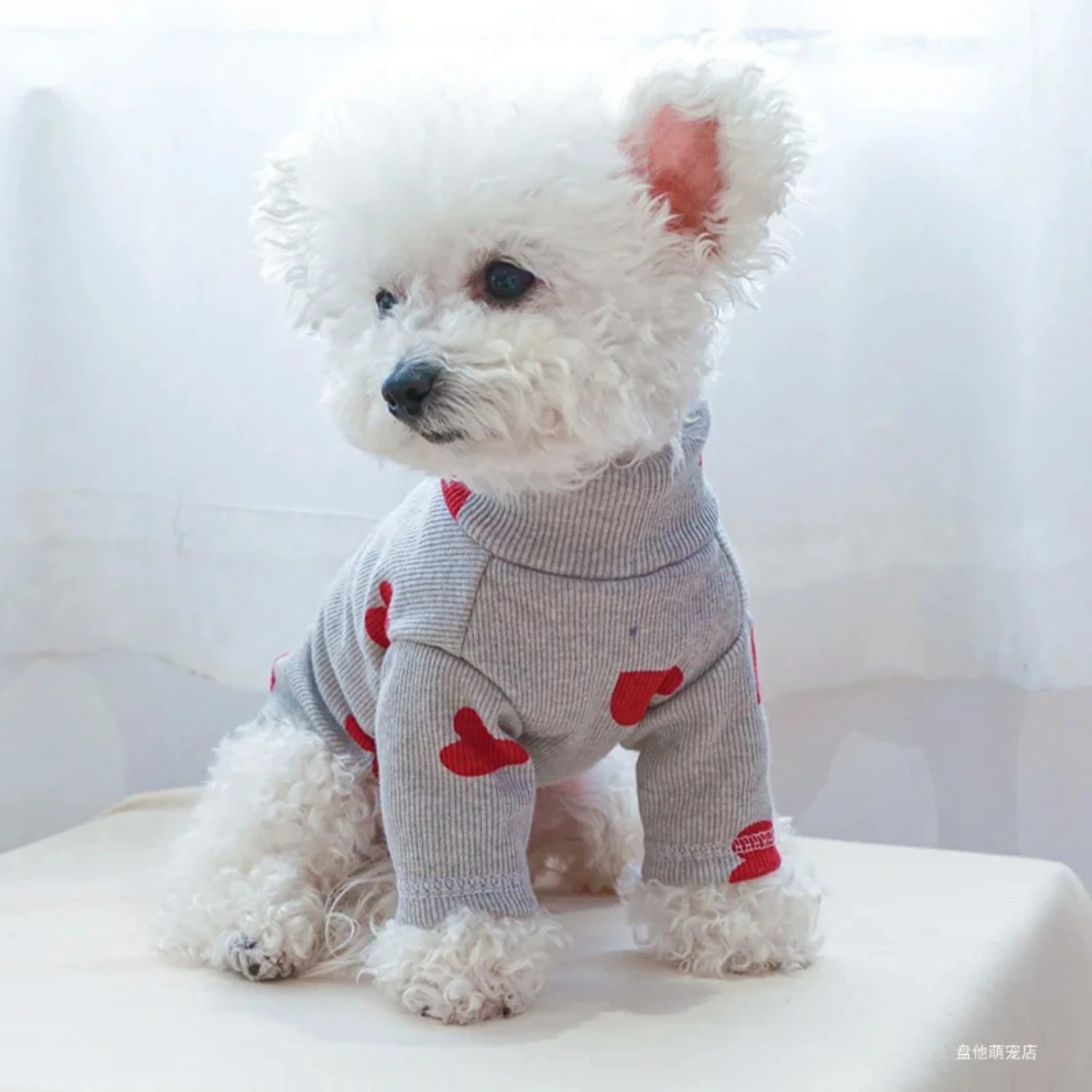 Puppy Clothes Shirt - Image 1