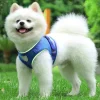 Pet Dog Cat Harness - Thumbnail Image 1