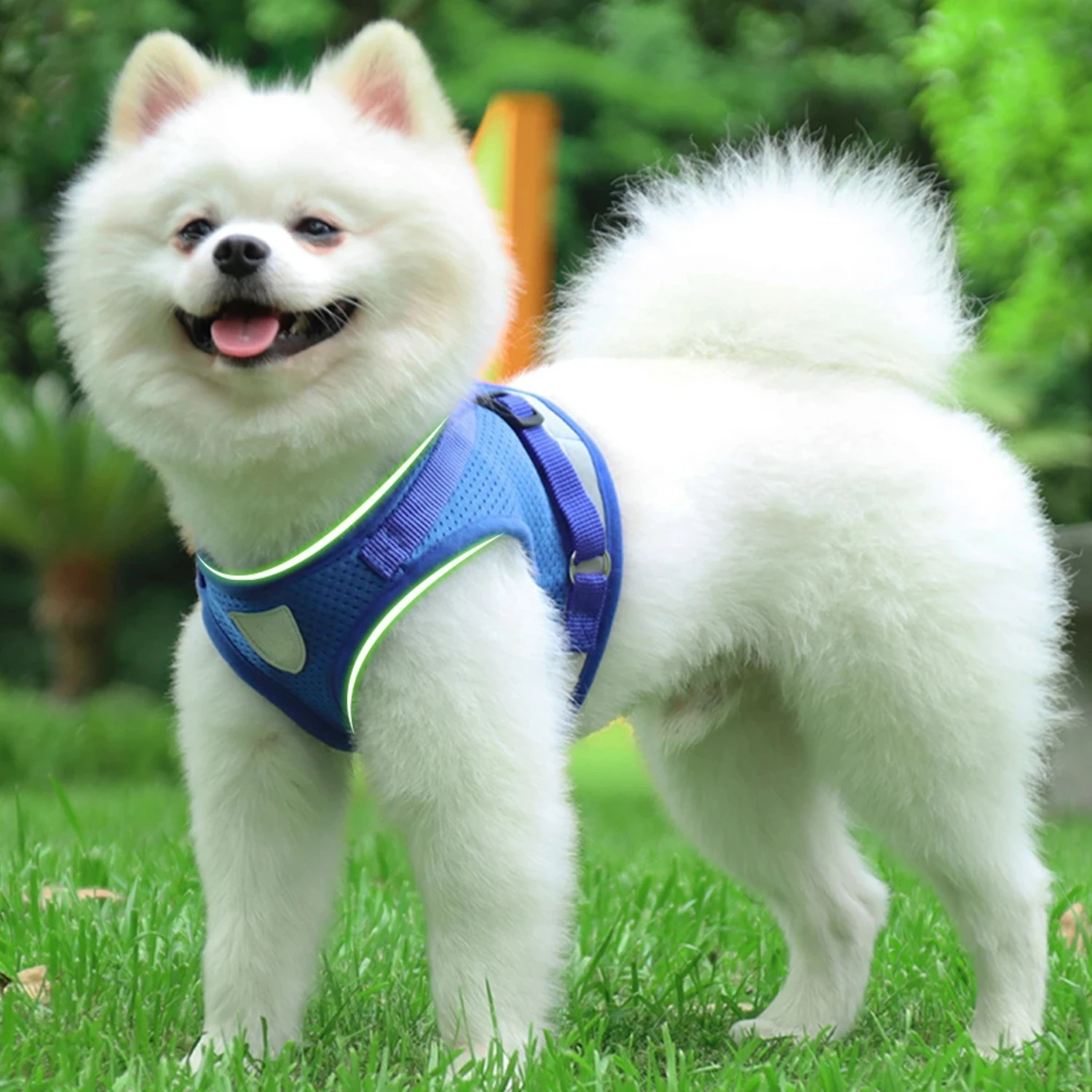 Pet Dog Cat Harness - Image 1