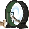 Large Cat Exercise Wheel - Thumbnail Image 3