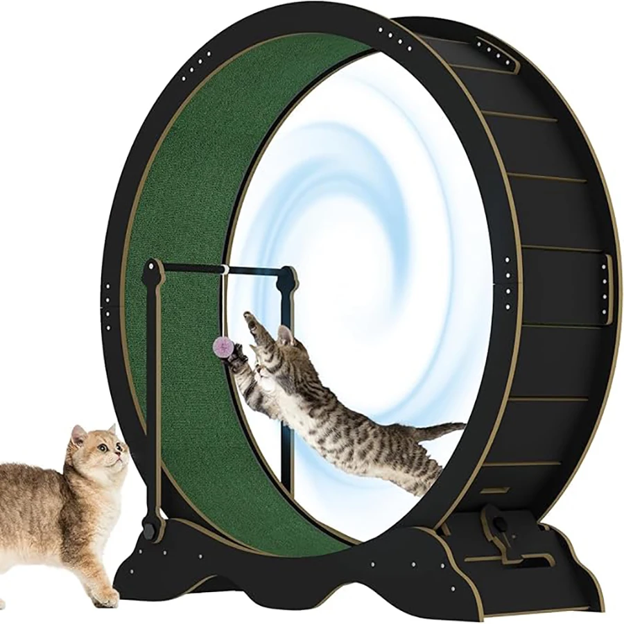 Large Cat Exercise Wheel - Image 3