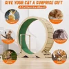 Large Cat Exercise Wheel - Thumbnail Image 2