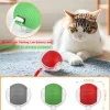 New Cat Interactive Ball - Thumbnail Image 2
