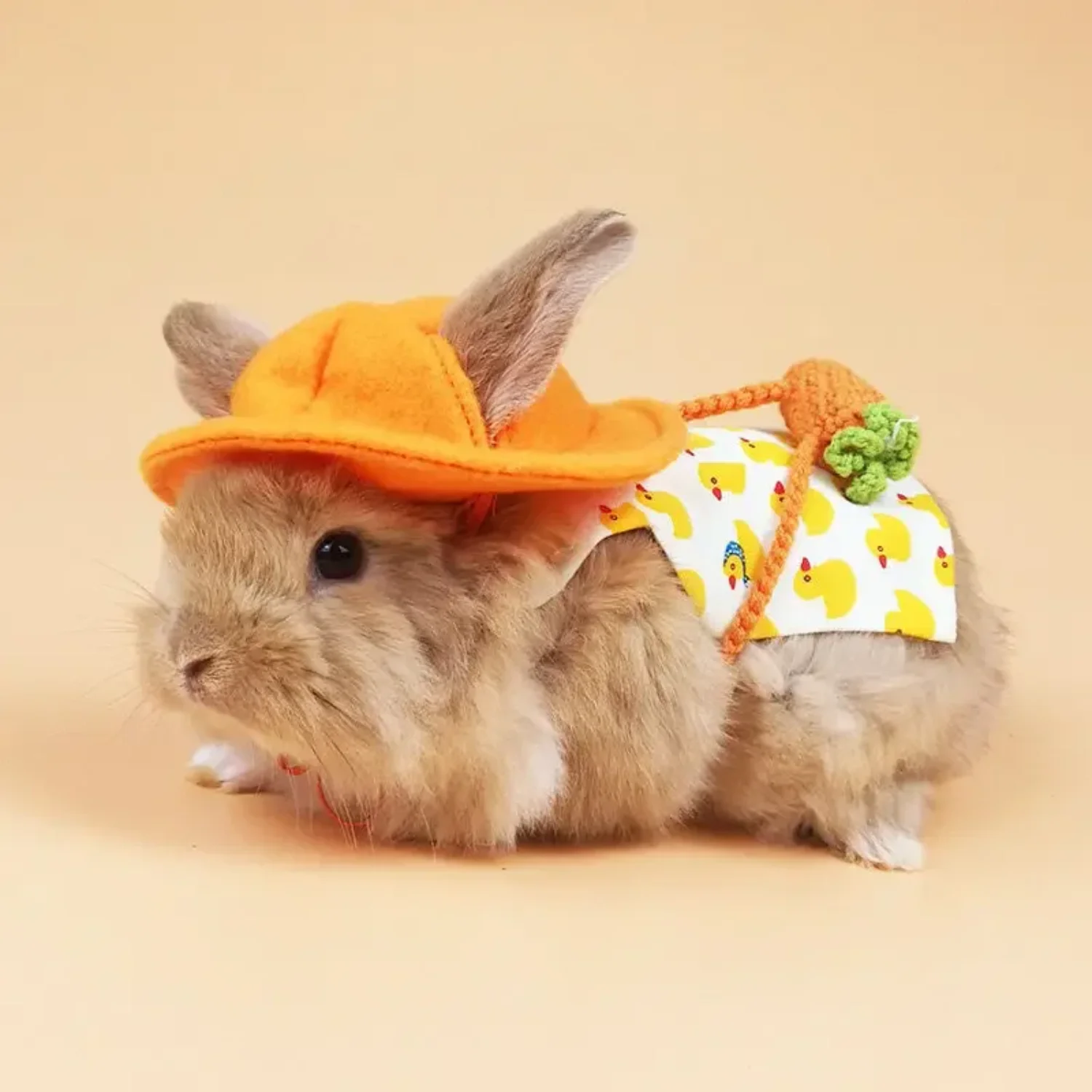 Cute Small Pet Harness Dress - Image 3