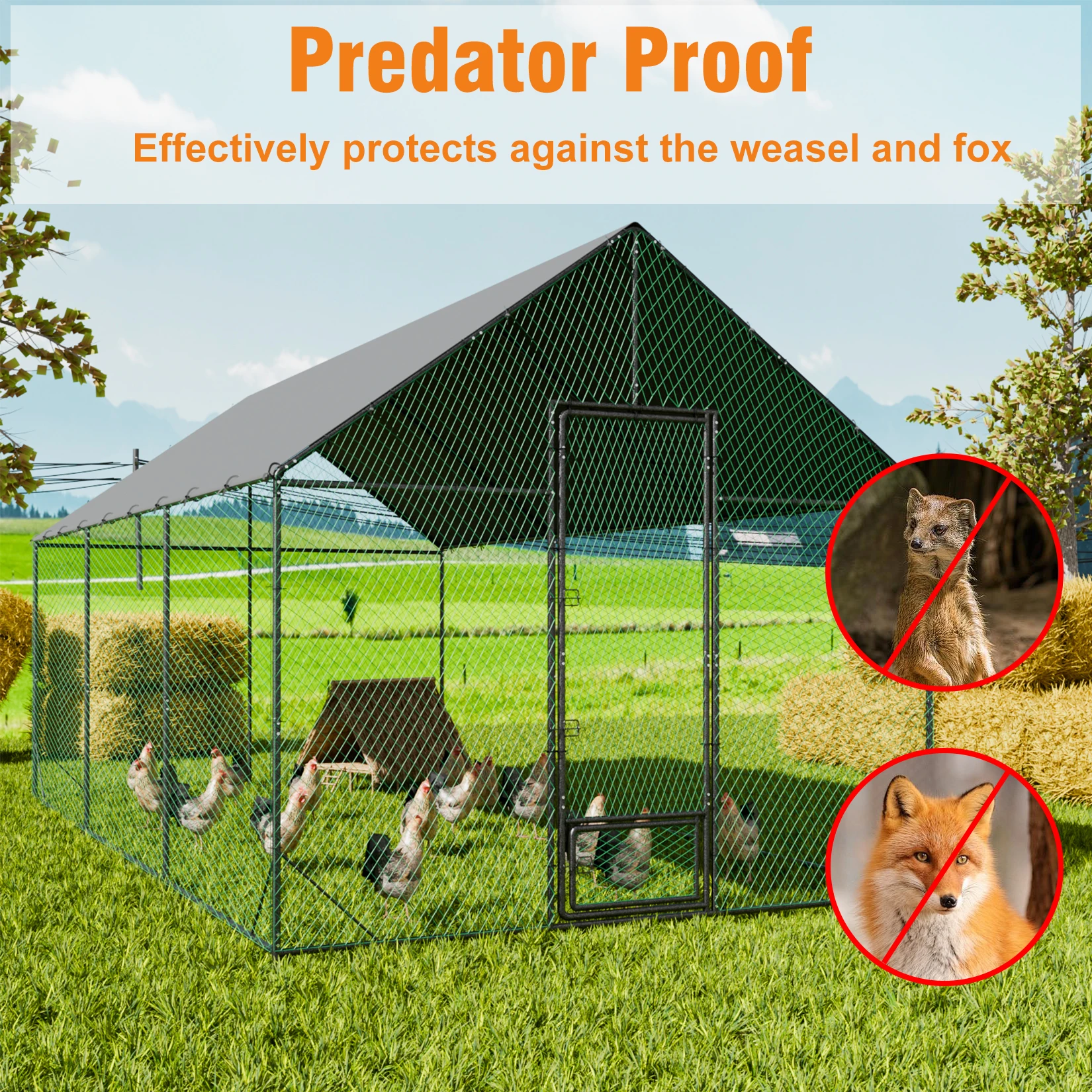 Spacious Outdoor Chicken Coop - Image 3